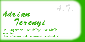 adrian terenyi business card